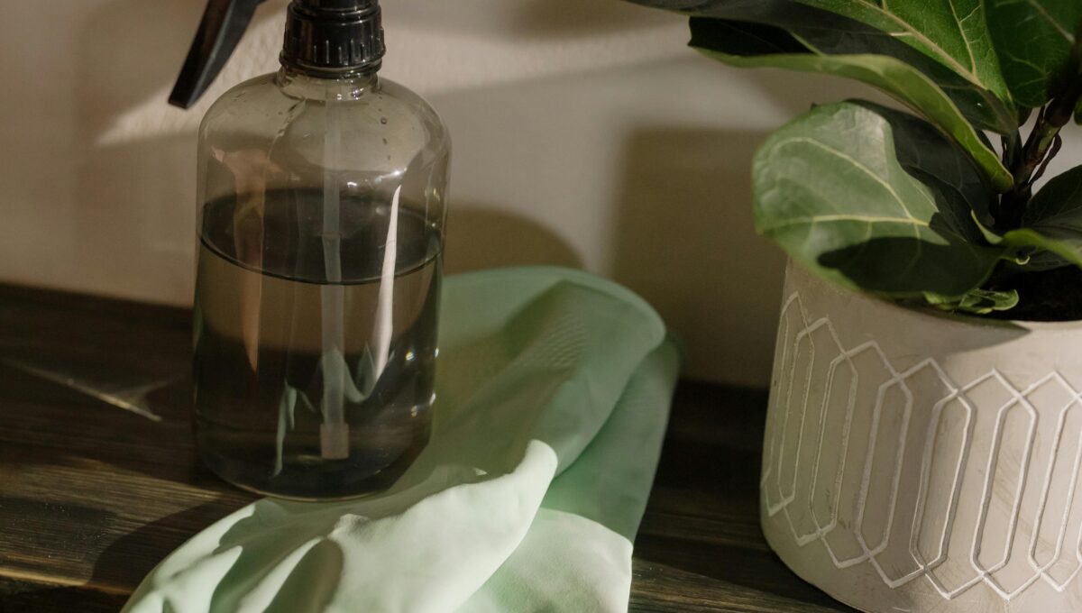The Complete Deep-Clean Kitchen Guide: How to Clean Every Surface Like a Pro