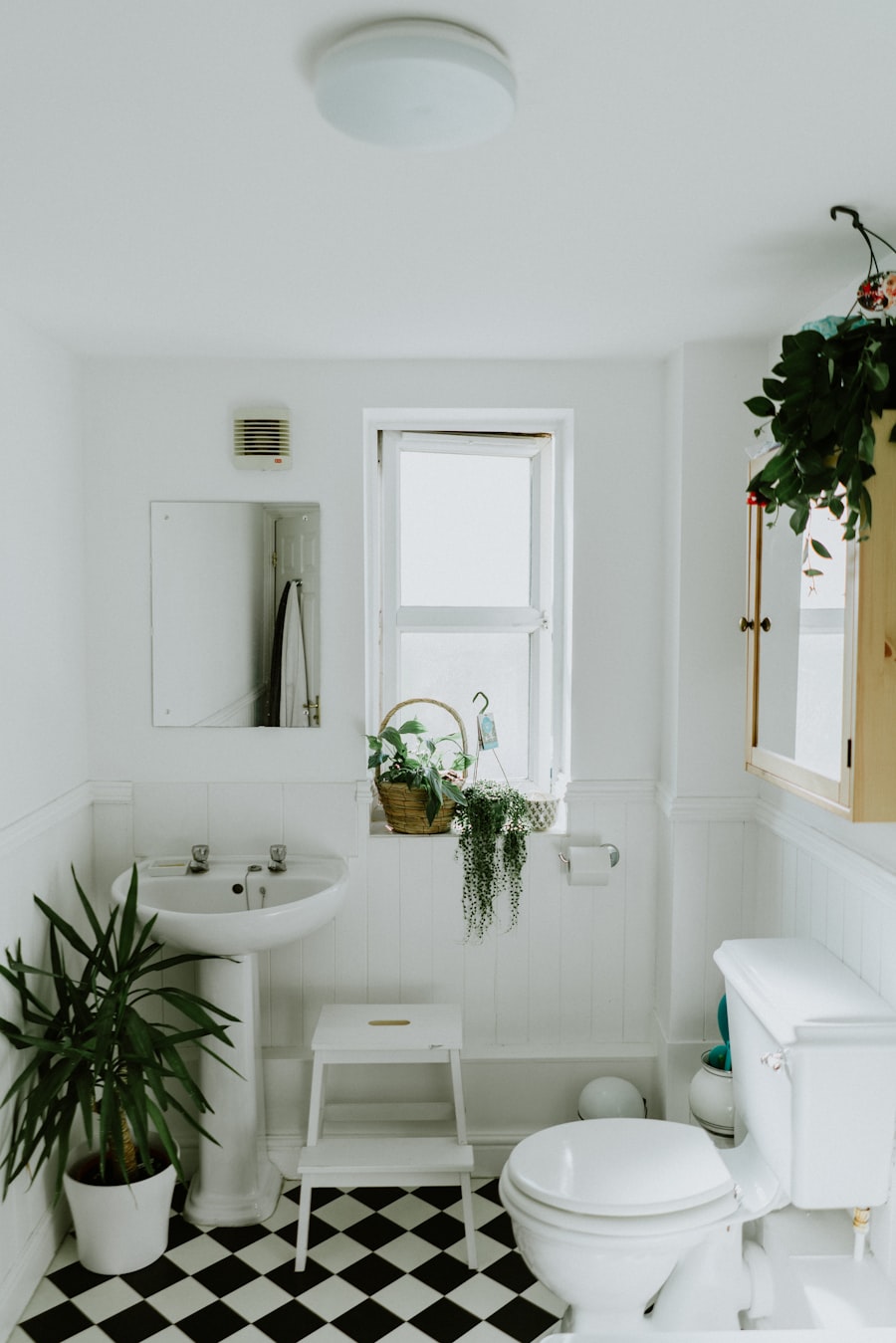 Small organized bathroom with vertical wall cabinet and minimal counter items — maximum storage efficiency in limited square footage